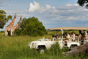 African Safaris and Tours